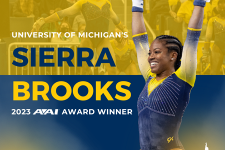 The 2023 AAI Award Winner is…